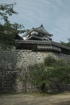 Upward view of Matsuyama Castle surrounded by lush greenery under a clear sky in Japan.