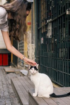 A woman gently pets a black and white street cat in an alleyway in Istanbul.