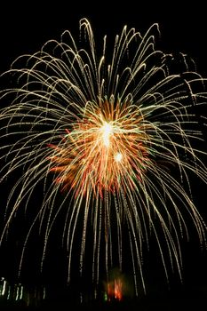 Vibrant fireworks display lighting up the dark night sky, capturing the essence of celebration.