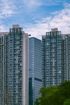 View of modern skyscrapers in Shenzhen, framed by trees and clear blue sky.