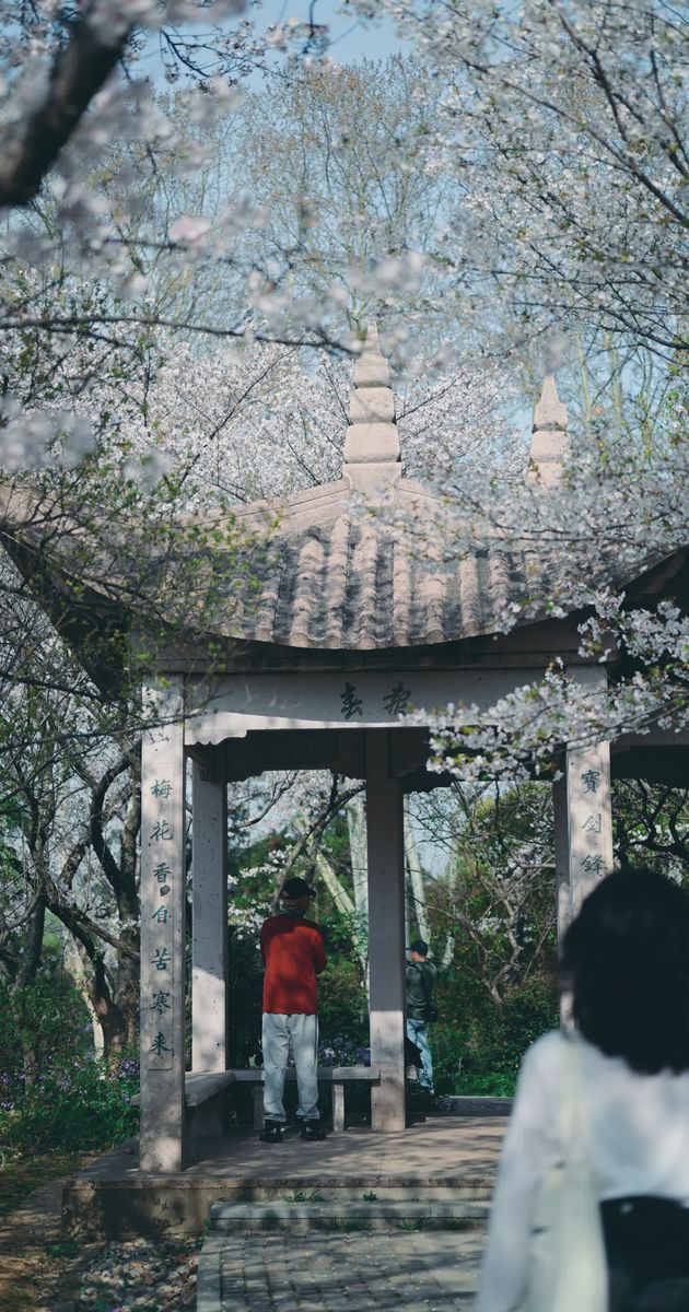 雪花素材 - 雪花 /  Cheng Shi Song