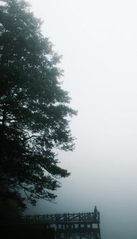 A tranquil scene of a mist-covered lake with a lone person on a jetty surrounded by trees.