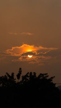 Captivating sunset with clouds and silhouetted trees under a golden sky.