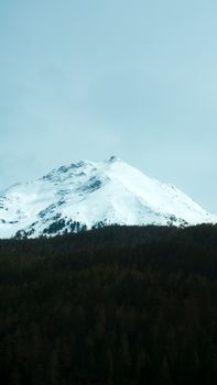 Stunning snow-covered peak in the Swiss Alps near Zürich, surrounded by dense forest.