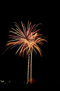 Vivid fireworks burst against a dark night sky, creating a colorful spectacle.