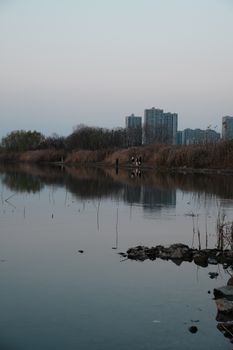 A serene urban lake at sunset with a city skyline reflection, reeds, and a rocky shore.