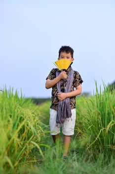 A young boy holding a fan walks through a lush rice field under a clear sky.