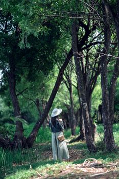 A woman in a wide-brimmed hat strolls amidst tall trees on a sunlit forest path, exuding calm and tranquility.