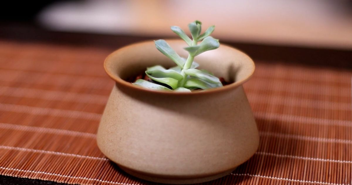 茶具素材 - 茶具 /  Supercreat Huang