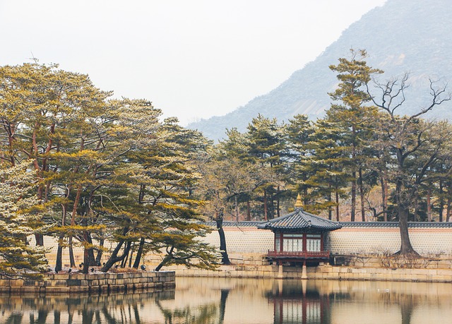 古画素材 - 建造 /  池塘 /  反射 /  场景 /  古建筑 /  古墙 /  景福宫 /  汉城 /  韩国 /  亭 /  自然 /  雪