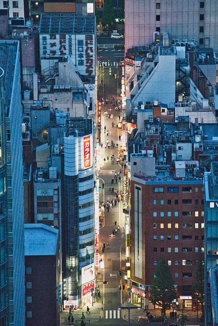 霓虹素材 - 东京 /  日本 /  城市 /  摩天大楼 /  都市 /  建造 /  道路 /  航拍 /  夜晚