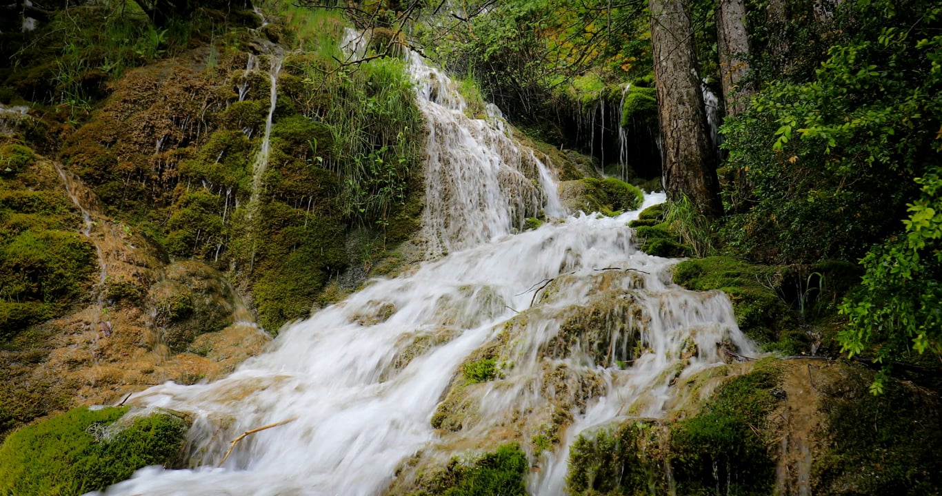公园素材 - 瀑布 /  溪 /  河 /  山 /  自然 /  公园 /  水 /  旅游 /  树木 /  苔藓 /  景观