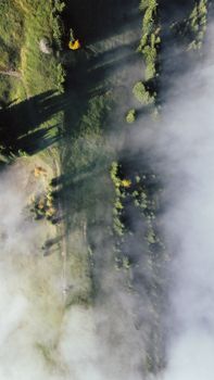 Drone shot of a misty alpine forest in Blaichach, Bavaria, showcasing serene natural beauty.