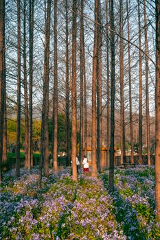 Serene forest view in Nanjing with vibrant purple flowers and two adults walking among tall trees.