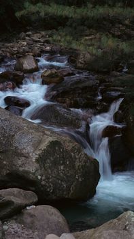 A tranquil mountain stream gently flows over rocks in a lush forest.
