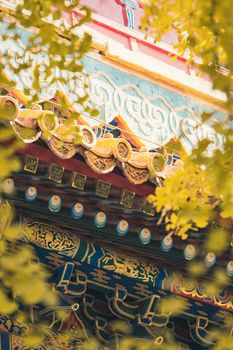 Close-up of vibrant traditional architecture framed by golden autumn leaves in Beijing, China.