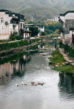 Quaint village scene with waterway and traditional buildings in Huangshan, China.